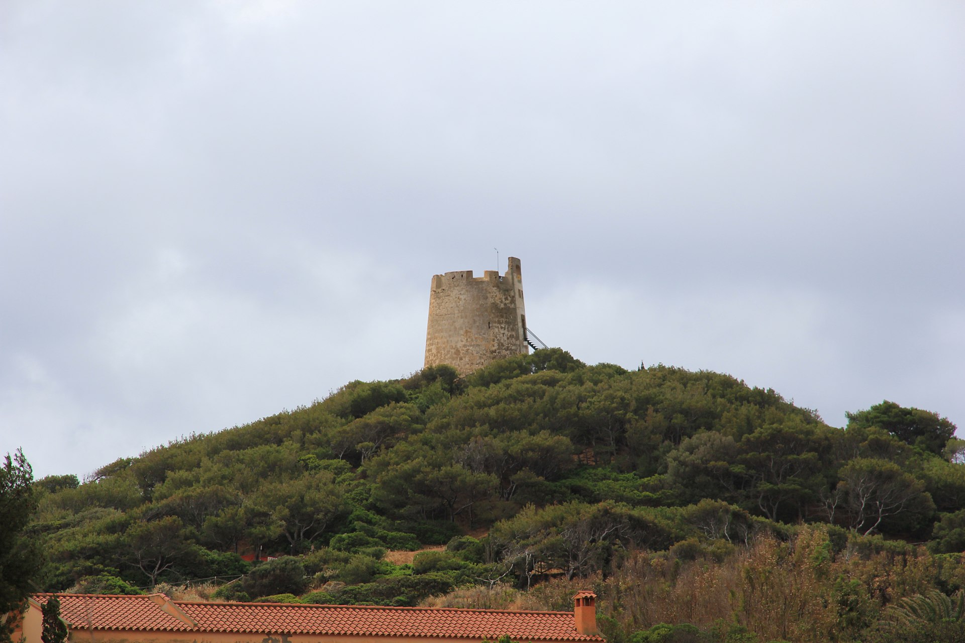 Domus De Maria
